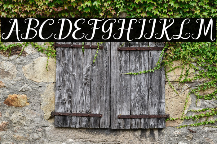 Hello Patty Example 2