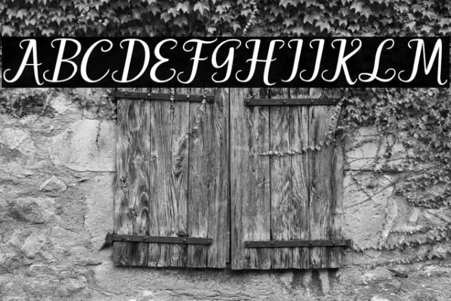 Hello Patty Font examples