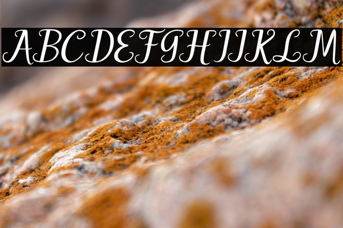 Hello Patty Example 3