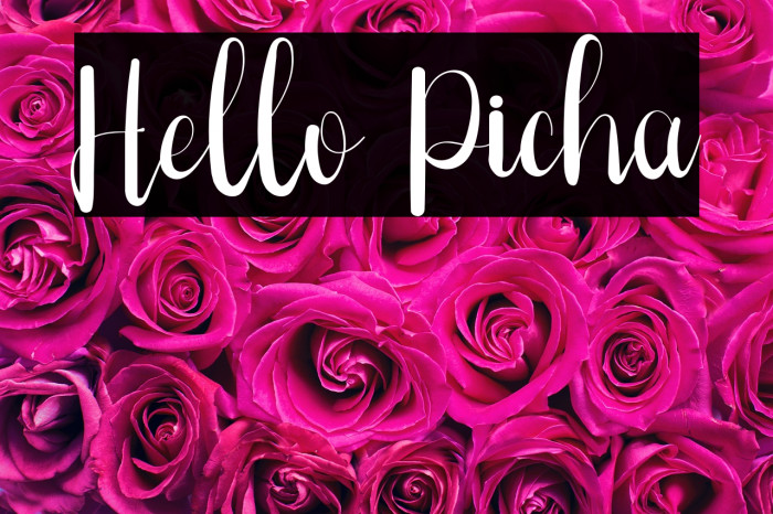 Hello Picha Example 1