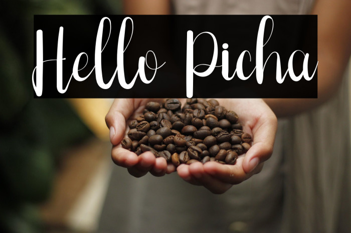 Hello Picha Example 3