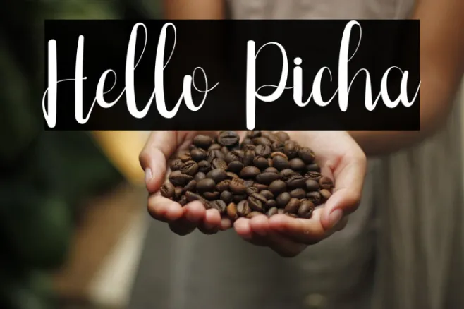 Hello Picha Example 3