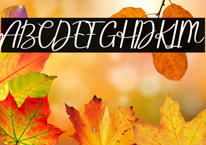 Hello Radea Example 1