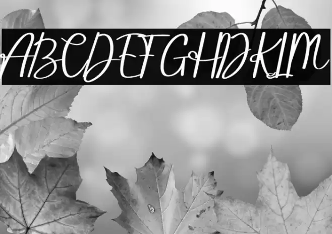 Hello Radea Font examples