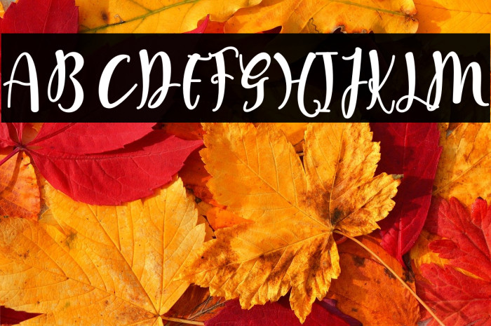 Hello Rasti Example 1