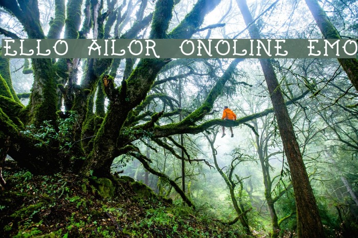 Hello Sailor Monoline Demo Font examples