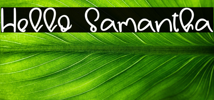 Hello Samantha Example 3