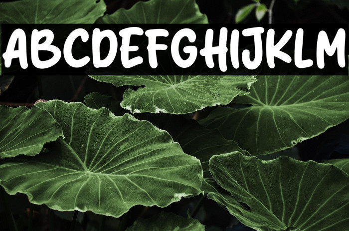 Hello Samosa Example 3