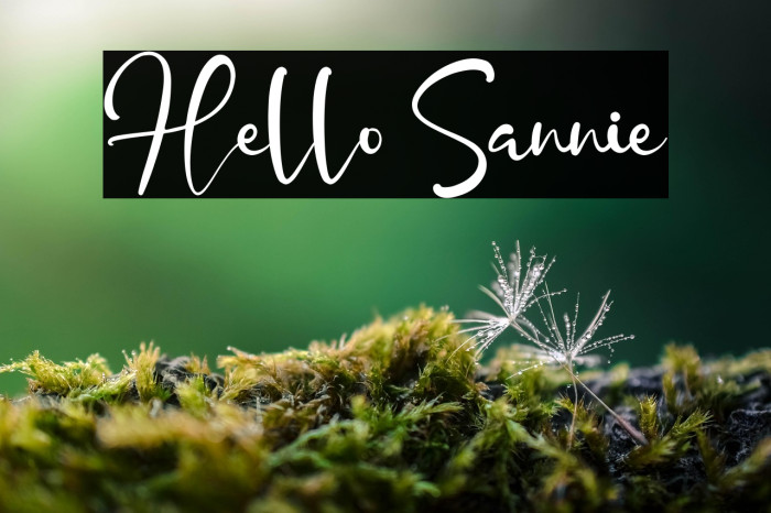 Hello Sannie Example 1
