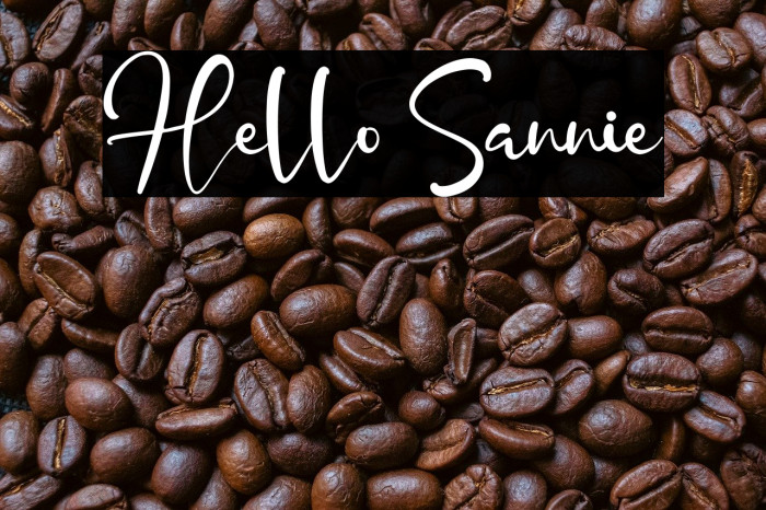 Hello Sannie Example 2