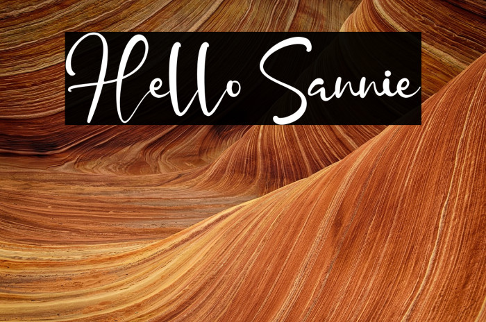 Hello Sannie Example 3