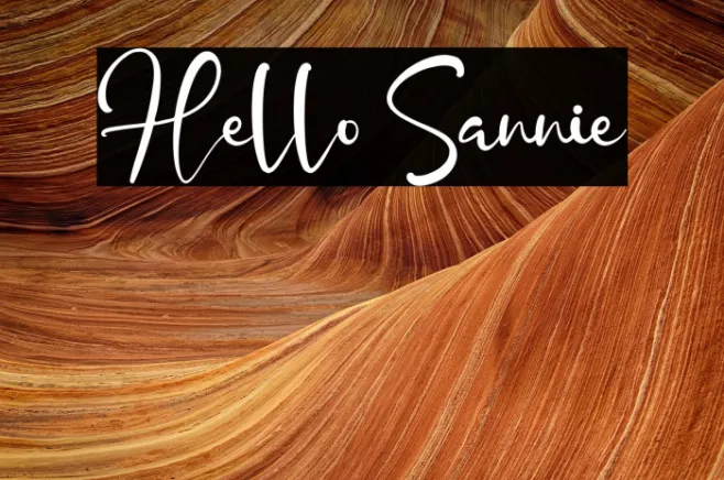 Hello Sannie Example 3