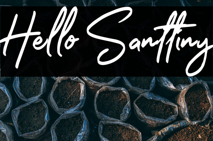 Hello Santtiny Example 2