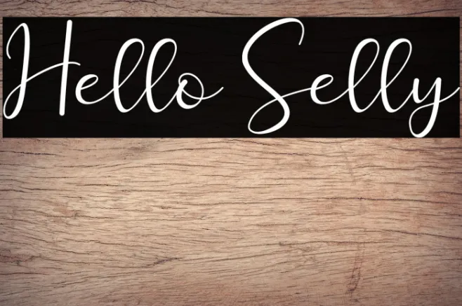 Hello Selly Example 1