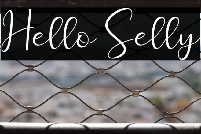 Hello Selly Example 2