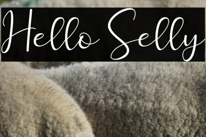 Hello Selly Example 3
