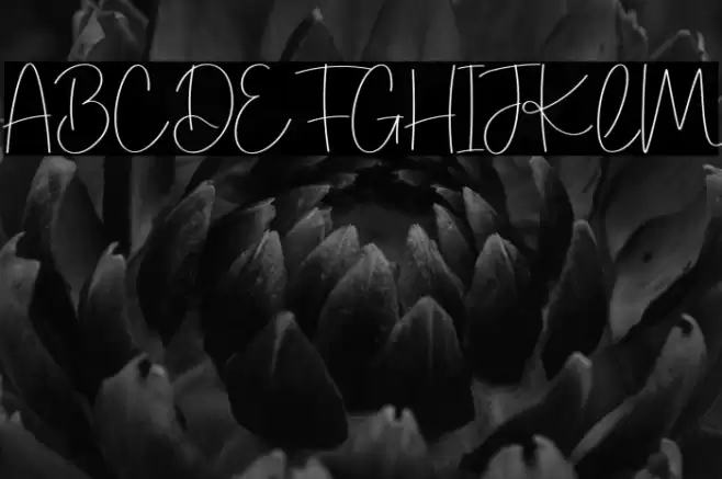 Hello Shandy Schriftart examples