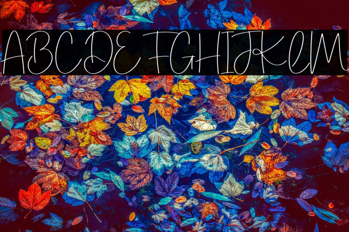 Hello Shandy Example 2