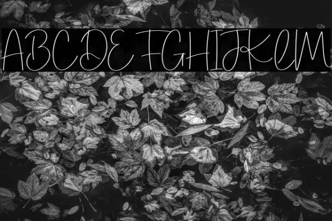 Hello Shandy Schriftart examples