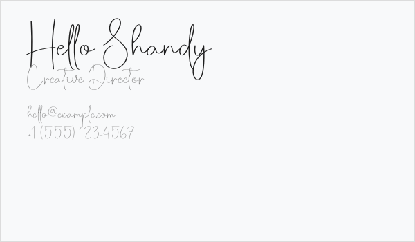 Hello Shandy Business Card