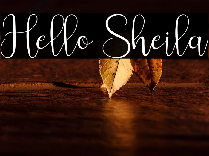 Hello Sheila Example 1