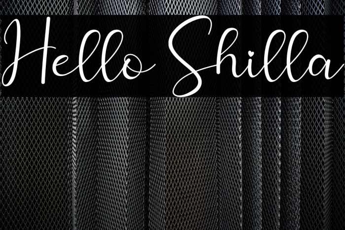 Hello Shilla Example 1