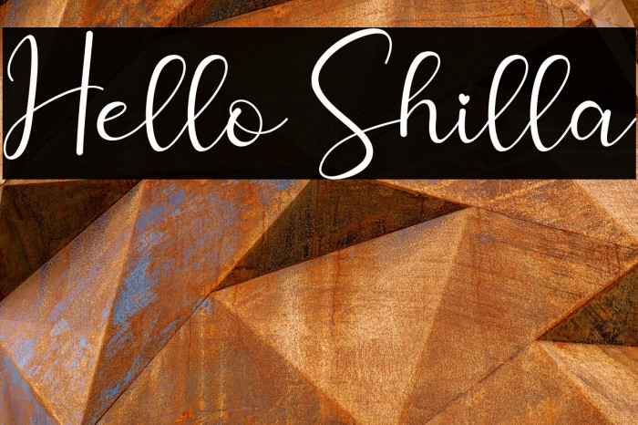 Hello Shilla Example 2