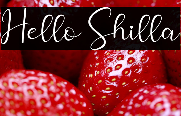 Hello Shilla Example 3