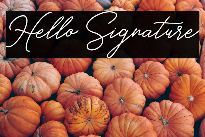 Hello Signature Example 3