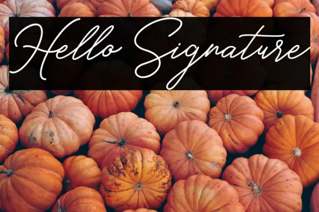 Hello Signature Example 3