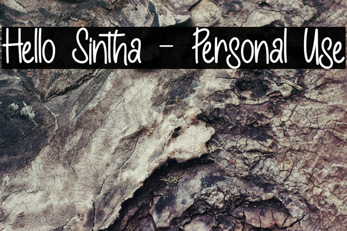 Hello Sintha - Personal Use Example 2