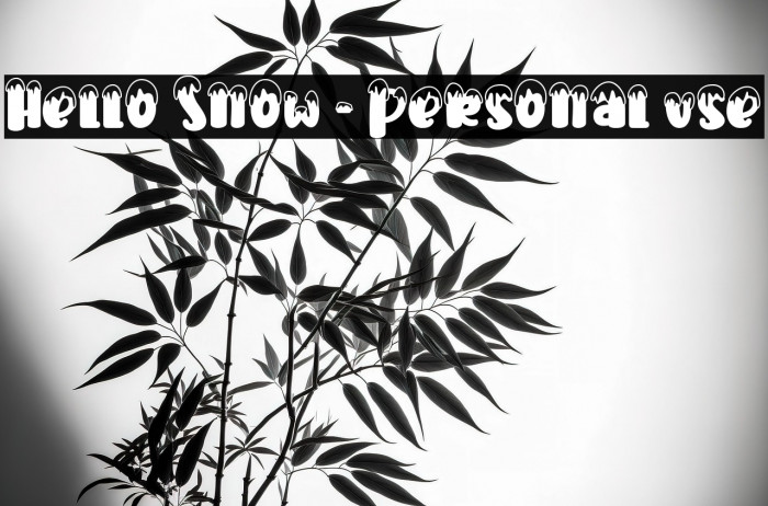 Hello Snow - Personal use Example 3