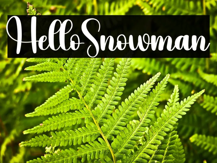 Hello Snowman Example 3