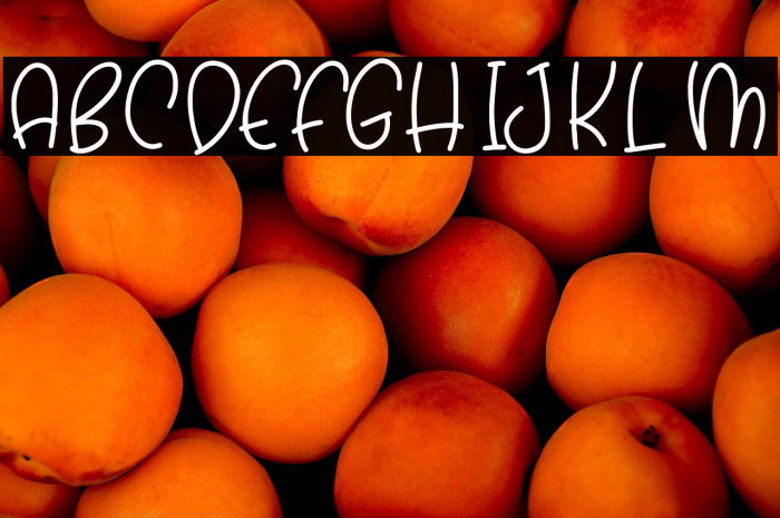 Hello Snowy Example 2