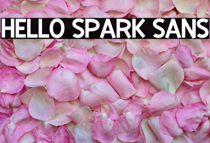 Hello Spark Sans Example 1