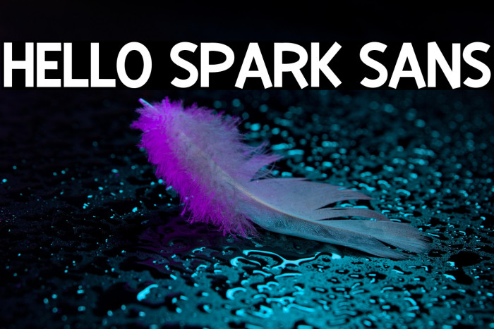 Hello Spark Sans Example 2