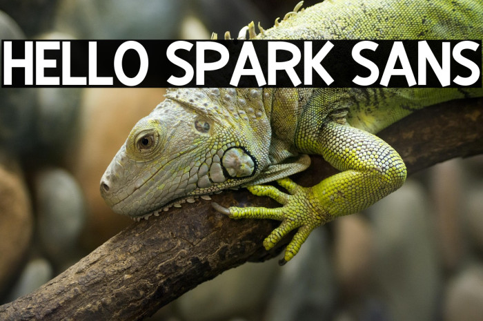 Hello Spark Sans Example 3