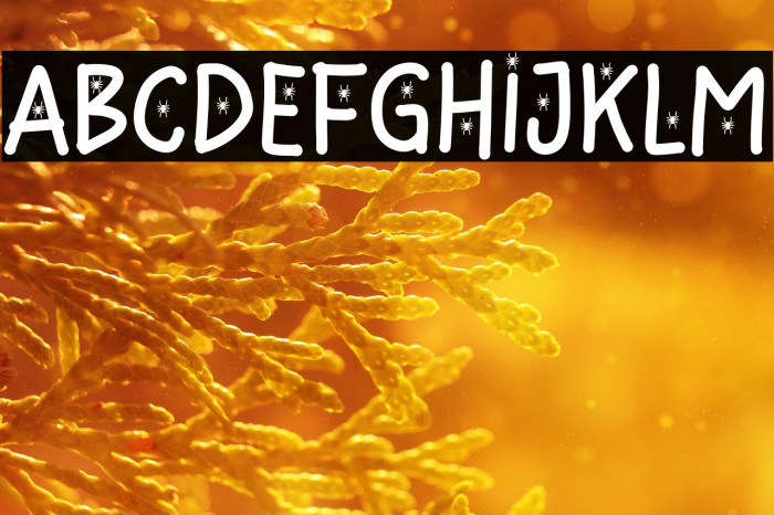 Hello Spider Regular Example 2