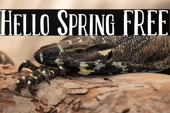 Hello Spring FREE Example 2