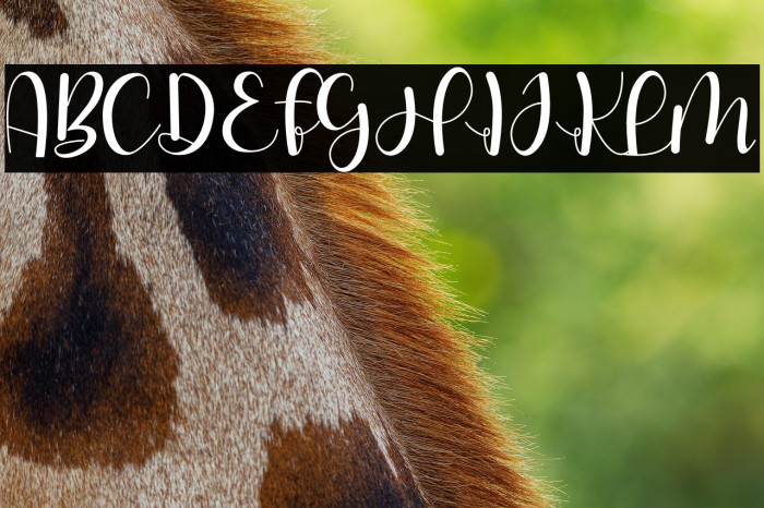 Hello Stefanie Example 2