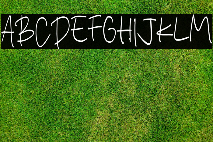 Hello Strawberry Example 2