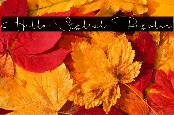 Hello Stylish Regular Example 1