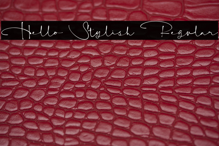 Hello Stylish Regular Example 2