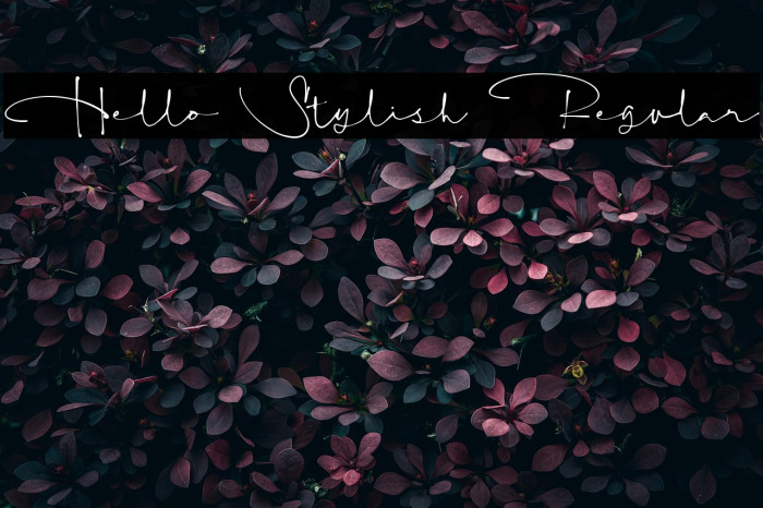 Hello Stylish Regular Example 3