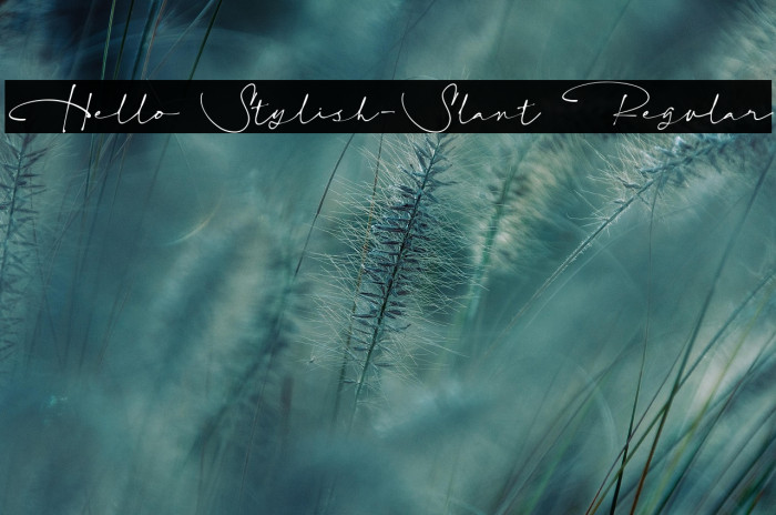Hello Stylish-Slant Regular Example 1