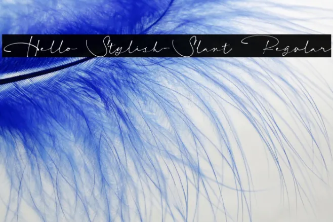 Hello Stylish-Slant Regular Example 2