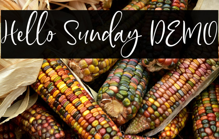 Hello Sunday DEMO Example 2