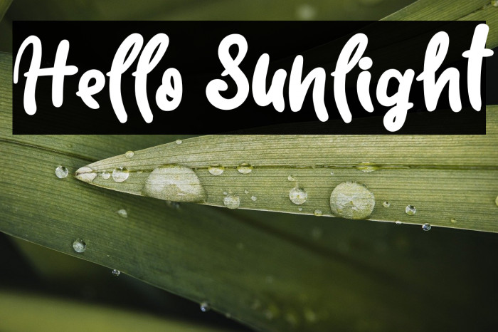Hello Sunlight Example 2