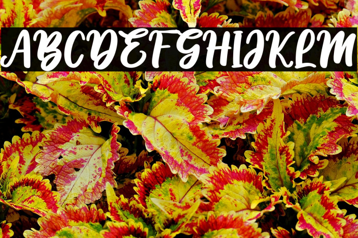 Hello Sunshine - Personal Use Example 2