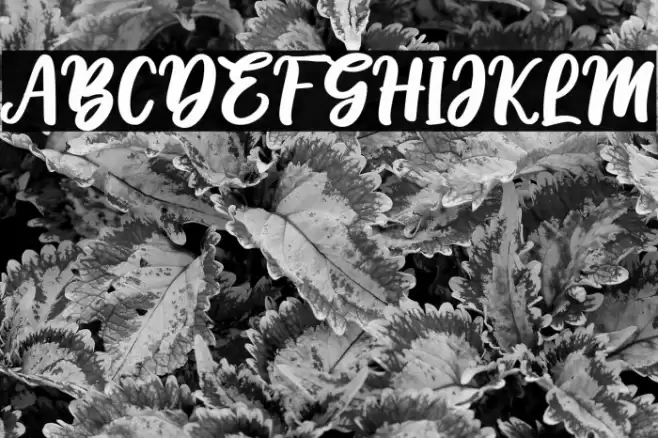 Hello Sunshine - Personal Use Font examples